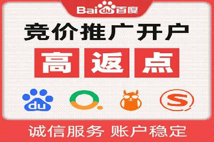 精准营销：百度推广平台的成功案例解析
